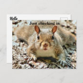 おもしろいチェックインはがき ポストカード (正面/裏面)