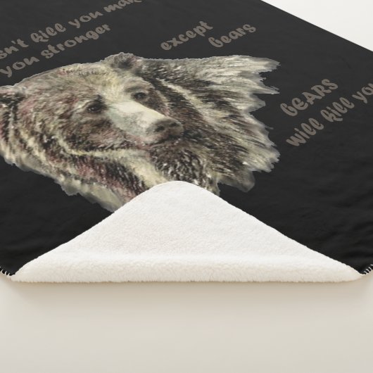 おもしろいデやる気を起こさせる引用文クマが殺す シェルパブランケット (3/4)