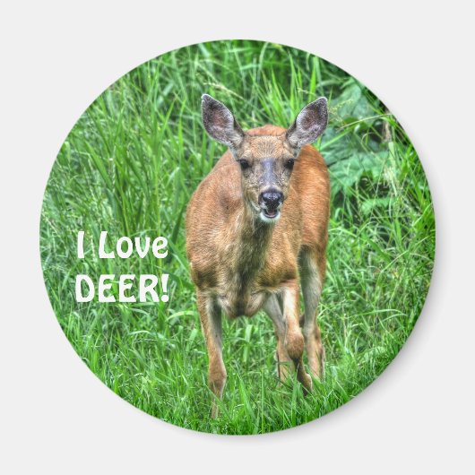 おもしろいデザイン全員の子供のために！ マグネット (正面)