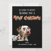 おもしろいドッグフォトクリスマスクッキー シーズンカード (正面)