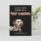 おもしろいドッグフォトクリスマスクッキー シーズンカード (スタンド正面)