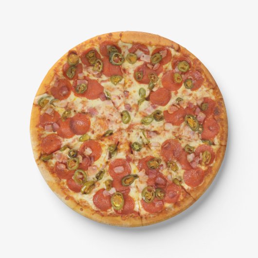 おもしろいノベルティカッコいいピザグリルパーティー食品 ペーパープレート (正面)