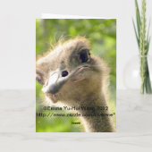 おもしろいハッピーバースデーカードlダチョウ写真 カード (裏面)