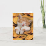 おもしろいハヌカーあいさつカード – Cat in Gelt カード<br><div class="desc">このアイテムについて* INSIDE GREETING: "あなたのハヌカーが純粋であることを願う！" COVER - [Hanukkah geltを使用した猫の画像] * CARD SIZE - 5x7インチの封筒で通常サイズの1枚を受け取る。お客様おもしろいの中で来もお出迎え可能なカー空白のドをご用意しております。購入する前に必ず商品の写真を確認してください。* USE – のハヌカー（ユダヤ教の祭り）の願い笑わされるに最適なカー書ド！カードのカバーページは高い光沢仕上げで印刷され、インテリアページは滑らかで完璧な表面を書提供する。完璧男性へ、女性、妻、夫、友人。*社会的に責任を負保う – 家庭での米国の仕事、私たちの製品は約40年の間、米国（およびカナダ）で作られる。私たちは厚い、白い、光沢のあるカードストック、30%リサイクルされた含有量（パピルスなし、自然）を使用する。環境への影響を最小限に抑える取り組みを行う！*受賞歴のあるブランド – 1980年に設立されたノーブルワークス最高のと、そのノンユーモア部門であるカードカンパニーは、受賞歴のある国のブランドである。私たちはアメリカに拠点を置き、家族経営で、文房具の出版社であり、グリーティングカード協会の会員でもある。</div>