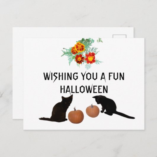 おもしろいハロウィーンオレンジカボンプキンマリーゴールド黒猫 ポストカード (正面/裏面)