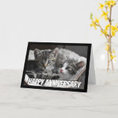 おもしろいハートからハートカップル周年猫動物 カード (黄色い花)