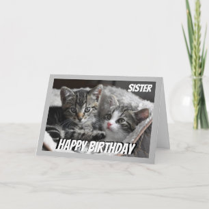 おもしろいハートからハート姉妹誕生日Cat Animal カード
