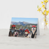 おもしろいバイクもしくは自転車に乗る人ドッグズオンザマウンテン誕生日 カード (黄色い花)