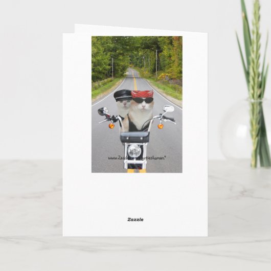 おもしろいバイクもしくは自転車に乗る人猫バレンタインデー シーズンカード (裏面)