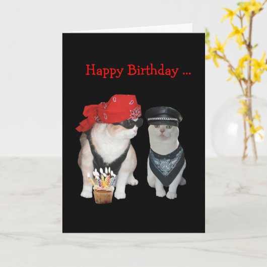 おもしろいバイクもしくは自転車に乗る人猫誕生日 カード (黄色い花)