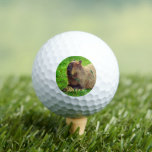 おもしろいパーソナライズされたカピバラ動物 ゴルフボール<br><div class="desc">love golfingの方に対するユニークなギフト#golfing #golf #golflife #golfer #golfswing #golfstagram #instagolf #golfaddict #golfcourse格子のawqコールド・コールド・コールド・コールド・コールド・コールド・コールド・コールド・コールド・コールド・コールド・コールド・コールド・コールド・コールド・コールド・コールド・コールド・コールド・コールド・コールド・コールド・コールド・コールド</div>