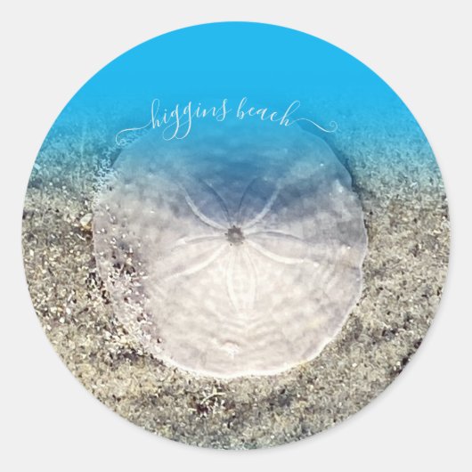 おもしろいヒギンズビーチサンドドルブルーグラデーション ラウンドシール (正面)