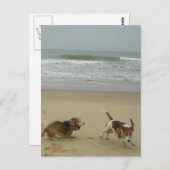 おもしろいビーチ ポストカード (正面/裏面)