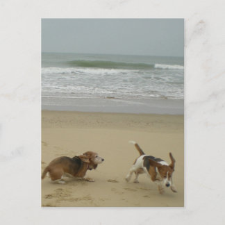 おもしろいビーチ ポストカード