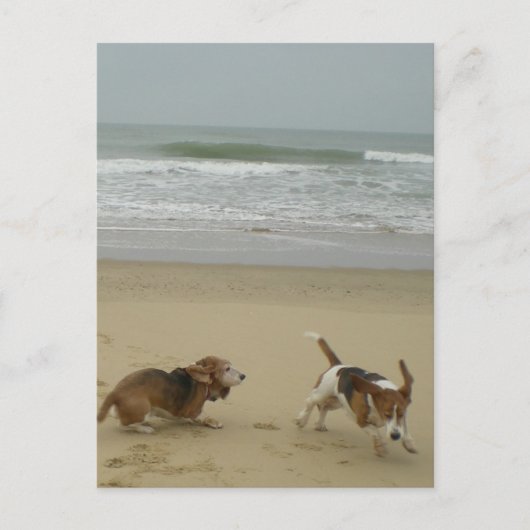 おもしろいビーチ ポストカード (正面)