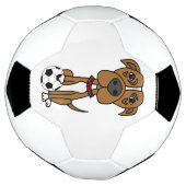 おもしろいピットブル遊犬 サッカーボール (回転)
