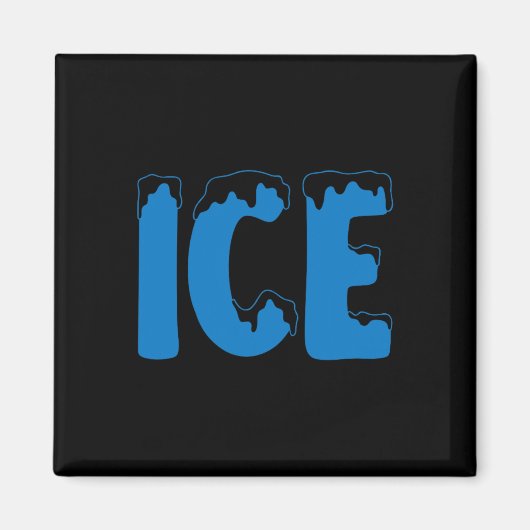 おもしろいファミリーハロウィーンの衣装アイスとバ マグネット (正面)