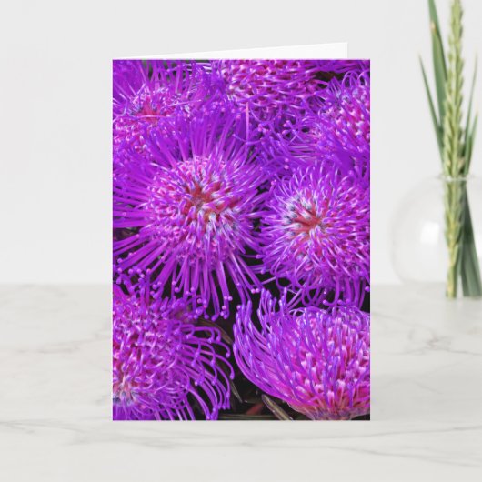 おもしろいファンキーカード カード (正面)