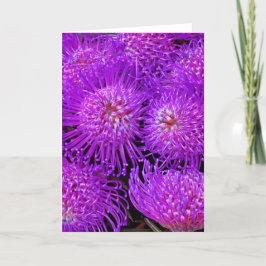 おもしろいファンキーカード カード