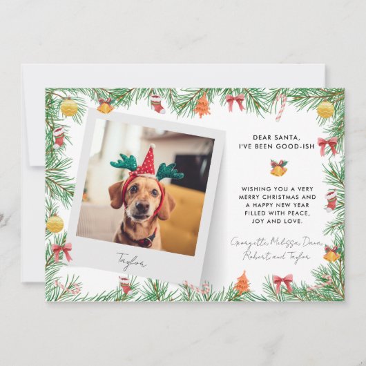おもしろいフェスティバルペットフォトドッグカスタムクリスマス シーズンカード (正面)