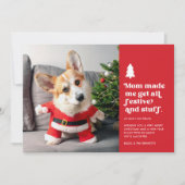 おもしろいフェスティバルペット写真クリスマス シーズンカード (正面)