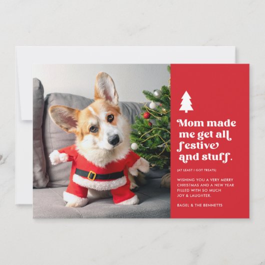 おもしろいフェスティバルペット写真クリスマス シーズンカード (正面)