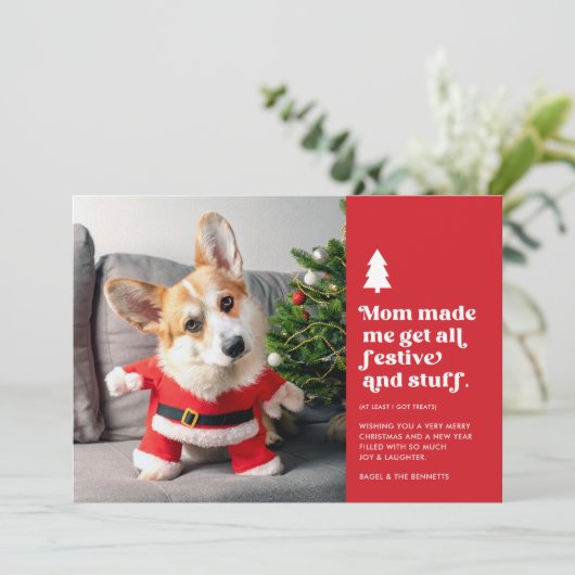 おもしろいフェスティバルペット写真クリスマス シーズンカード (スタンド正面)