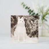 おもしろいフェスティバル写真スノードッグ 招待状 (スタンド正面)