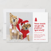 おもしろいフェスティバル複数ペット写真クリスマス |白 シーズンカード (正面)