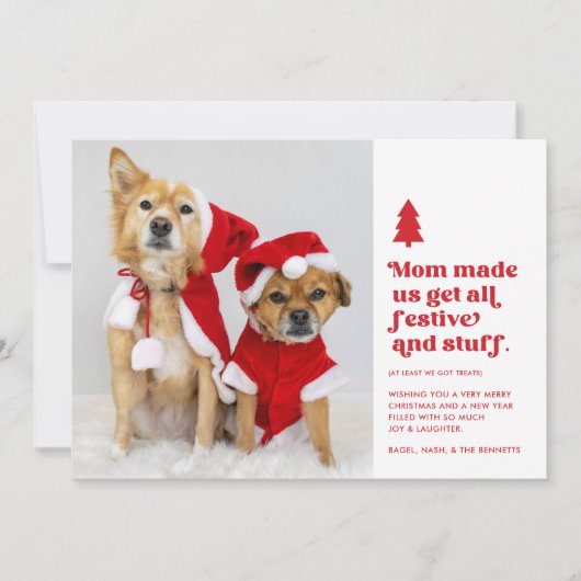 おもしろいフェスティバル複数ペット写真クリスマス |白 シーズンカード (正面)