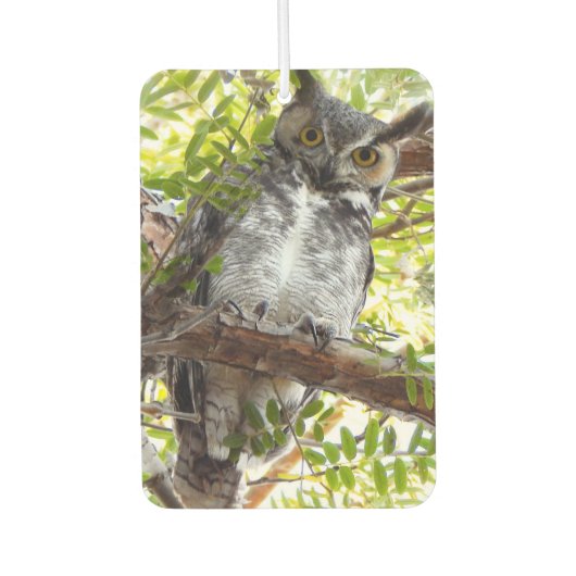 おもしろいフクロウあなたを見る カーエアーフレッシュナー (正面)