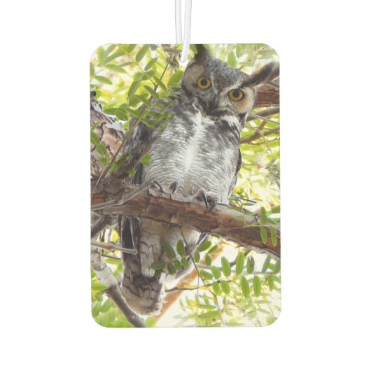 おもしろいフクロウあなたを見る カーエアーフレッシュナー (裏面)