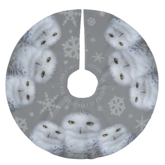 おもしろいフクロウがクリスマスに欲しいフクロウ ブラッシュドポリエステルツリースカート (正面)