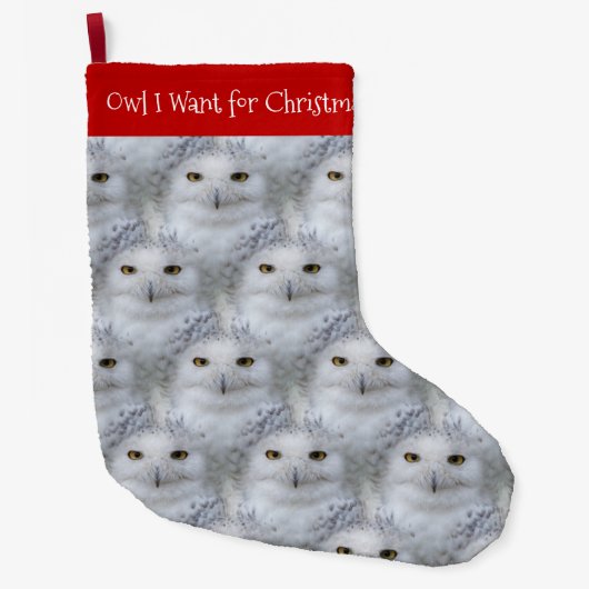 おもしろいフクロウがクリスマスに欲しい ラージクリスマスストッキング (正面)