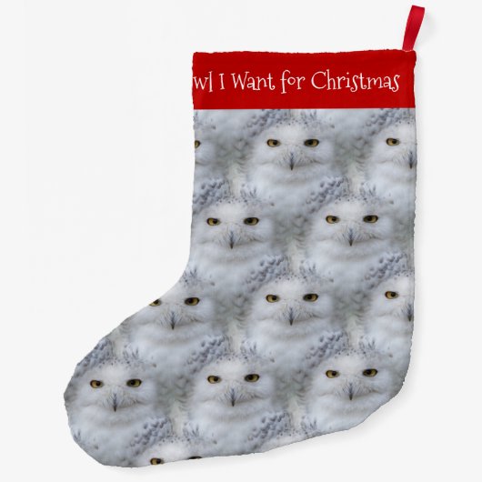 おもしろいフクロウがクリスマスに欲しい ラージクリスマスストッキング (裏面)