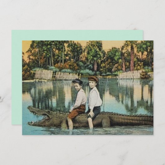 おもしろいフロリダのアリゲーターの移動発表 (正面/裏面)