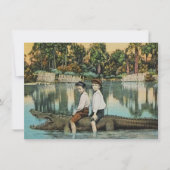 おもしろいフロリダのアリゲーターの移動発表 (正面)