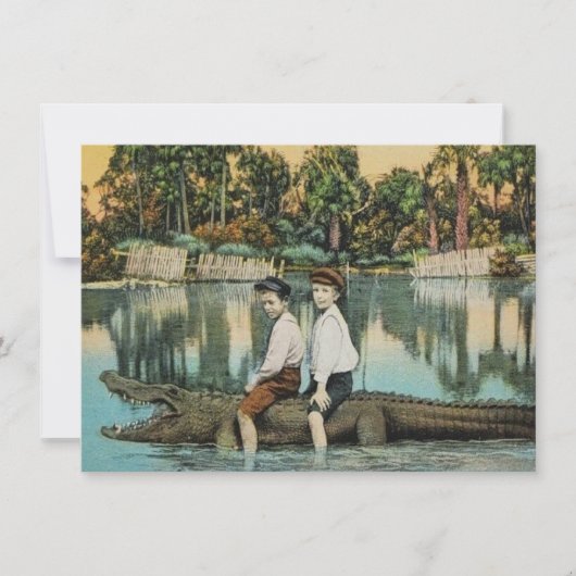 おもしろいフロリダのアリゲーターの移動発表 (正面)