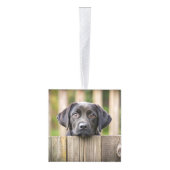 おもしろいブラックラボサンタドッグ2枚の写真クリスマス キューブオーナメント (右)