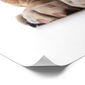 おもしろいブルドッグファッション – ポスター – srf (角)