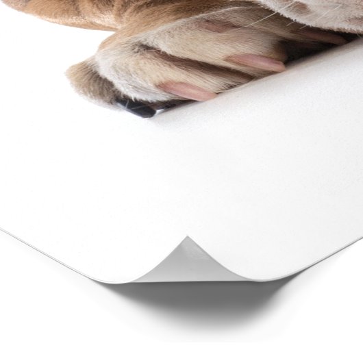 おもしろいブルドッグファッション – ポスター – srf (角)