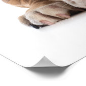 おもしろいブルドッグファッション – ポスター – srf (角)