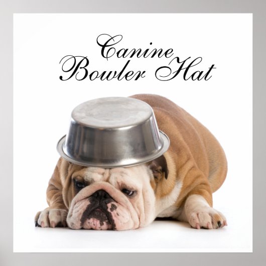 おもしろいブルドッグファッション – ポスター – srf (正面)