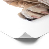 おもしろいブルドッグ – ポスター – srf (角)