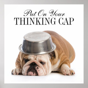 おもしろいブルドッグ – ポスター – srf