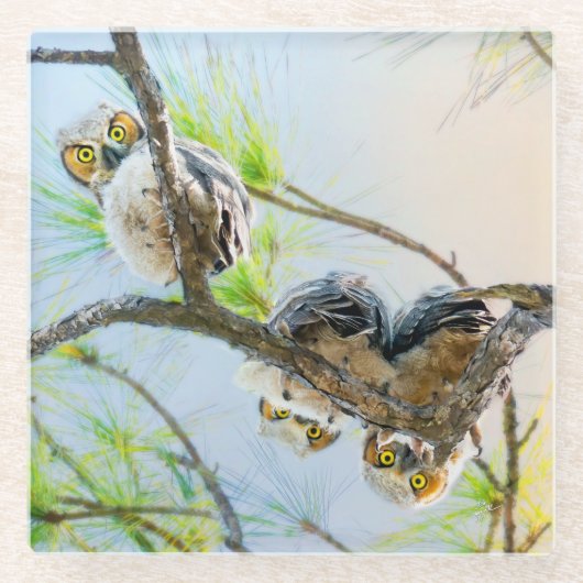 おもしろいベビーが手足に巻く ガラスコースター (正面)