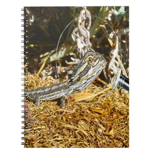 おもしろいベビーひげドラゴン手帳 ノートブック (正面)