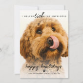 おもしろいペットが封筒をなめた | フォトクリスマス シーズンカード (正面)