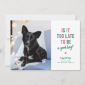おもしろいペットのホリデー写真カード - 良い子になれる? シーズンカード (正面)