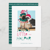 おもしろいペットクリスマスサンタスリトルヘルパー小妖精や小人&サンタ シーズンカード (正面/裏面)